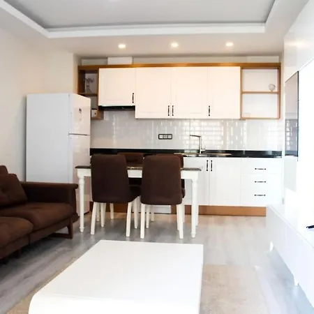Kurt Safir Euro 20 No:15